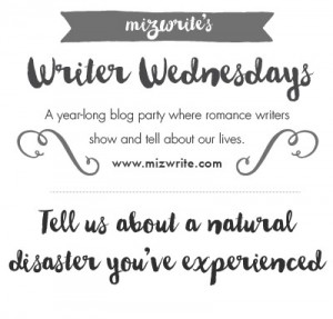 BlogCarnJuly8-01-01