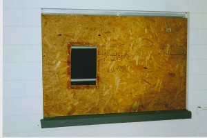 With the second storm on its way, my husband got creative and inserted Plexiglas panels into some of our plywood so we could see the stuff flying across the yard.