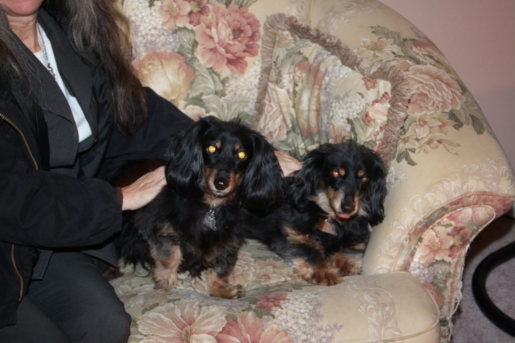 morgan-and-bailey