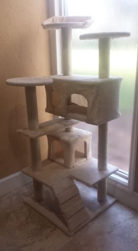 Cat toys
