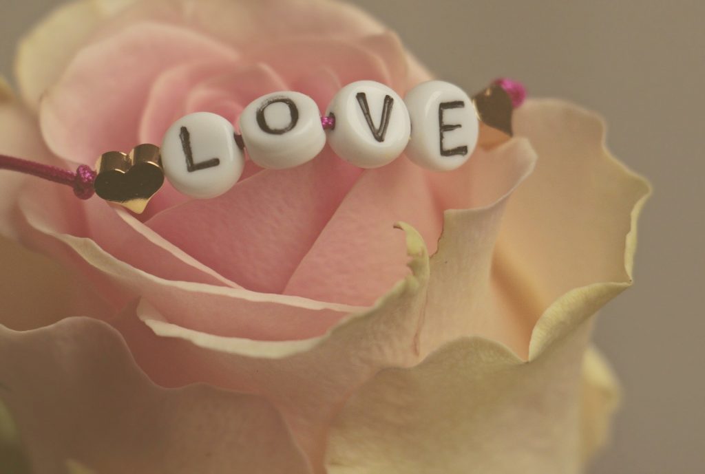 rose