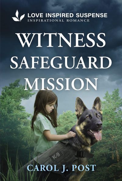 Witness Safeguard Mission-EBook